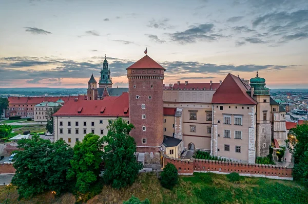 Château Royal Wawel Cracovie Pologne — Photo