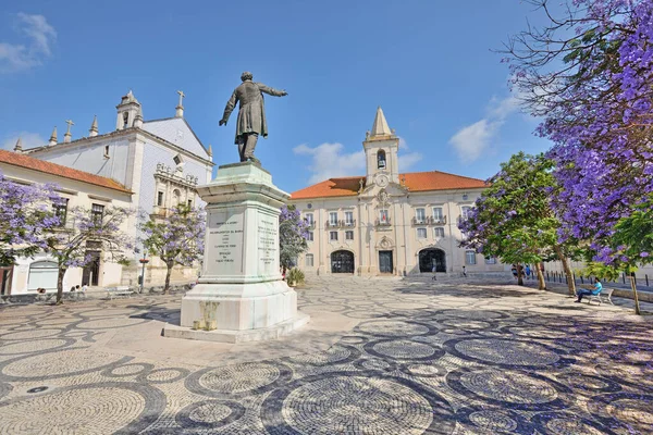 Town Hall Aveiro Portugal — Foto de Stock