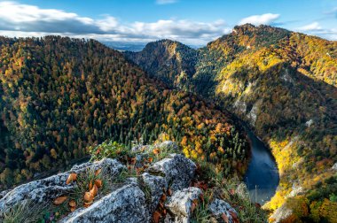 Pieniny Dağları. Dunajec Boğazı. Polonya.