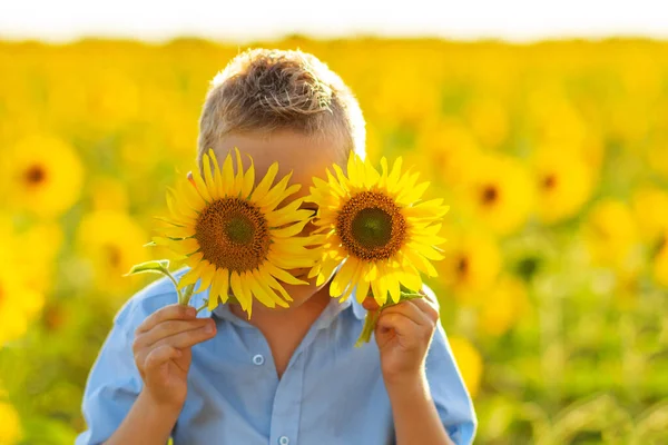 Cute Child Sunflowers Imagens Royalty-Free