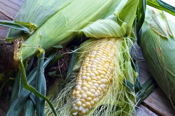 Fresh sweet corn — Stock Photo, Image