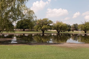 Album Park 'ta oluşan Kirli Göl namı diğer Eastwood Park' ta, Doğu El Paso, Teksas 'ta yağmur yağdıktan sonra