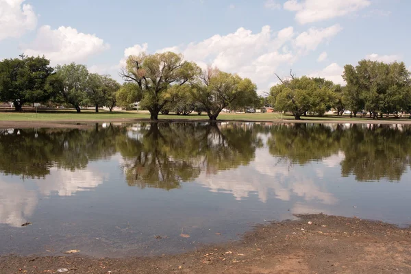 Polluted Lake Που Σχηματίζεται Στο Album Park Γνωστό Και Eastwood — Φωτογραφία Αρχείου