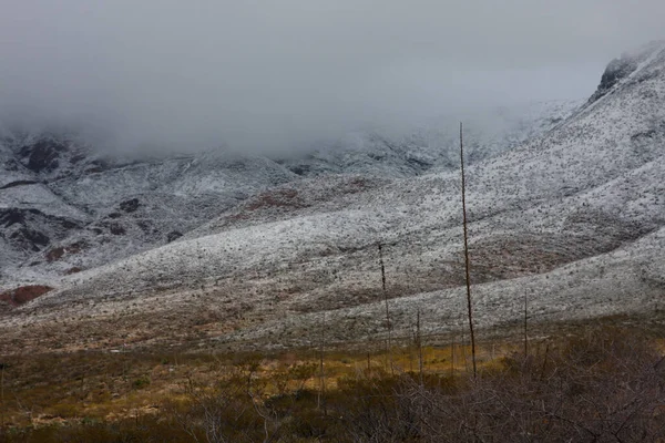 Franklin Hegység Paso Nyugati Oldalán Texasban Hófödte Trans Mountain Road — Stock Fotó