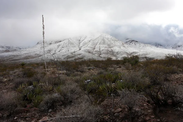 Montañas Franklin Lado Oeste Paso Texas Cubiertas Nieve Mirando Hacia — Foto de Stock