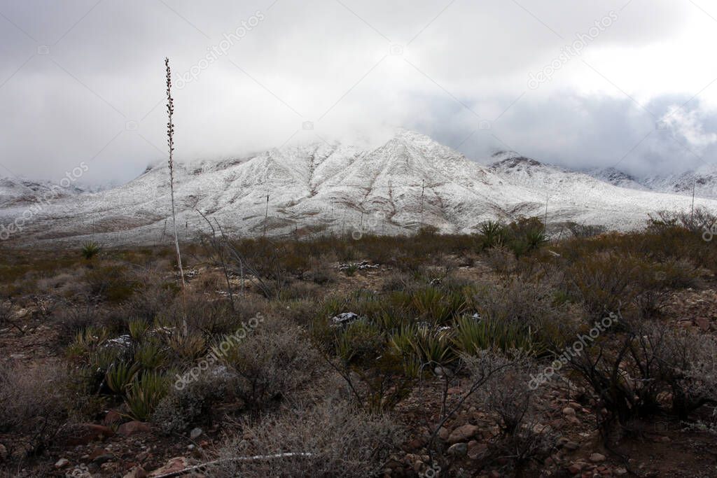 Franklin Mountains on the Westside of El Paso, Texas, covered in snow looking towards Trans Mountain Road