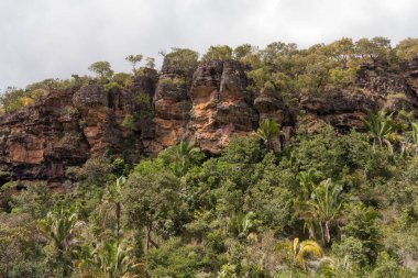 Brezilya, Formosa, Goias ve Formosa yakınlarındaki İndaia şelalelerinin oradaki yürüyüş yolu boyunca arazi manzarası