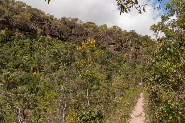 Hiking Trail Hiking Trail Indaia Waterfalls Formosa Goias Brazil — Stockfoto