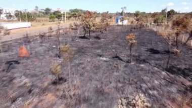 Brezilya, 8 Haziran 2022 Kuzeybatı Brasilia 'daki Tuxa Kızılderili Bölgesi yakınlarında bir kundakçı tarafından ateşe verildi. 