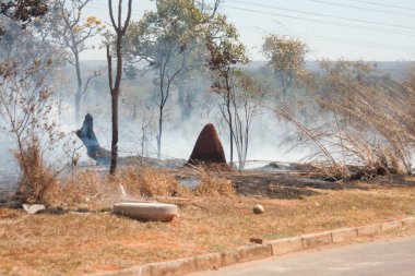 A brush fire near the Karriri-Xoco and Tuxa Indian Reservation in the Northwest section of Brasilia, Brazil