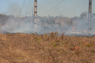 A brush fire near the Karriri-Xoco and Tuxa Indian Reservation in the Northwest section of Brasilia, Brazil
