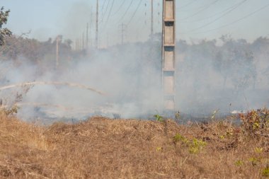 A brush fire near the Karriri-Xoco and Tuxa Indian Reservation in the Northwest section of Brasilia, Brazil