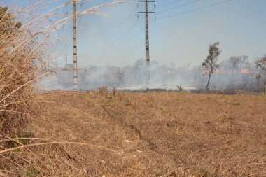 A brush fire near the Karriri-Xoco and Tuxa Indian Reservation in the Northwest section of Brasilia, Brazil