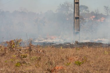 A brush fire near the Karriri-Xoco and Tuxa Indian Reservation in the Northwest section of Brasilia, Brazil