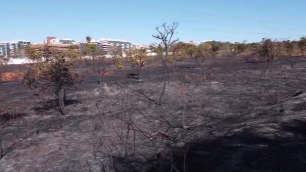 Brush Fire Karriri Xoco Tuxa Indian Reservation Northwest Section Brasilia — Stockvideo