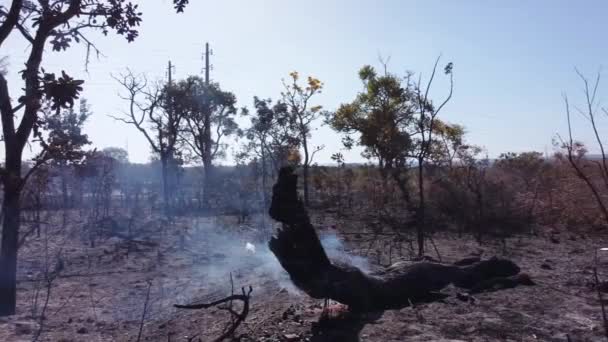 Brush Fire Karriri Xoco Tuxa Indian Reservation Northwest Section Brasilia — Stockvideo