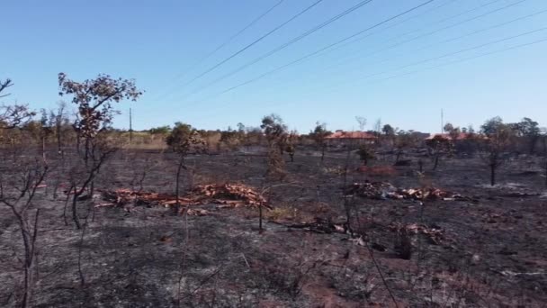 Brush Fire Karriri Xoco Tuxa Indian Reservation Northwest Section Brasilia — Video