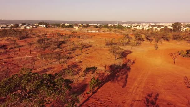 Aerial View Land Brush Trees Vegetation Clear Out Burle Marx — Stockvideo