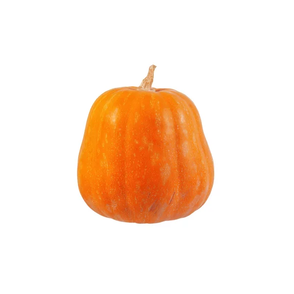 Hortalizas Calabaza Uno Los Símbolos Acción Gracias Cosecha Halloween Otoño — Foto de Stock