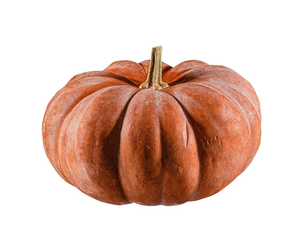 Modello Zucca Halloween Isolato Sfondo Bianco Uno Dei Simboli Dell — Foto Stock