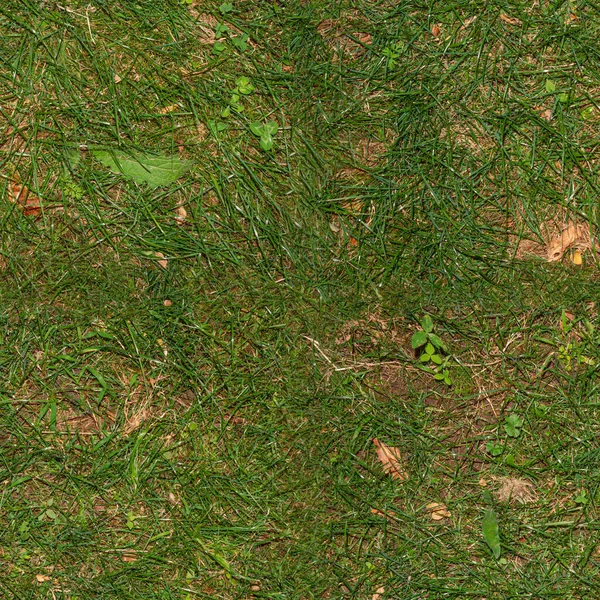 草表面 テクスチャまたは3D材料のためのシームレスな壁紙 — ストック写真