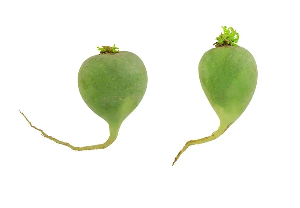 Green Radish Vegetable White Background File Clipping Path — 스톡 사진