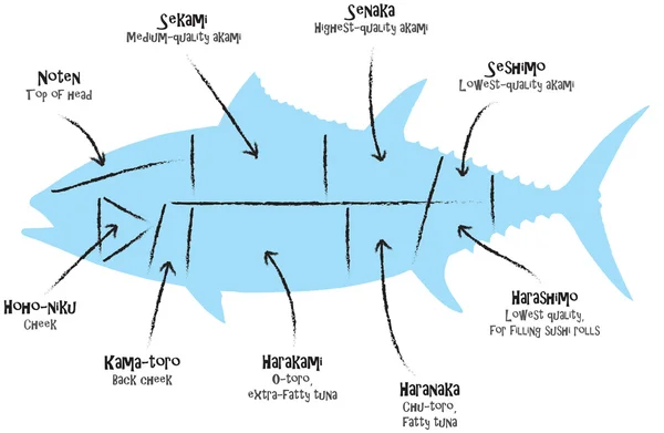 Голубой тунец — стоковый вектор