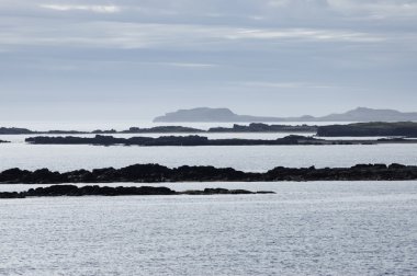 resif coast Doğu İzlanda.