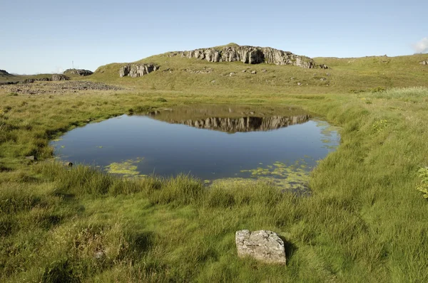 Zomer landschap in IJsland. — Stockfoto