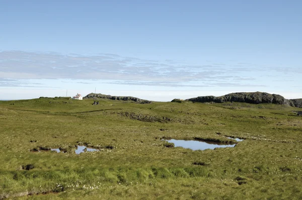 Zomer landschap in IJsland. — Stockfoto