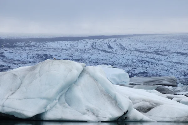 Fusion de la glace et du glacier Skaftafell . — Photo