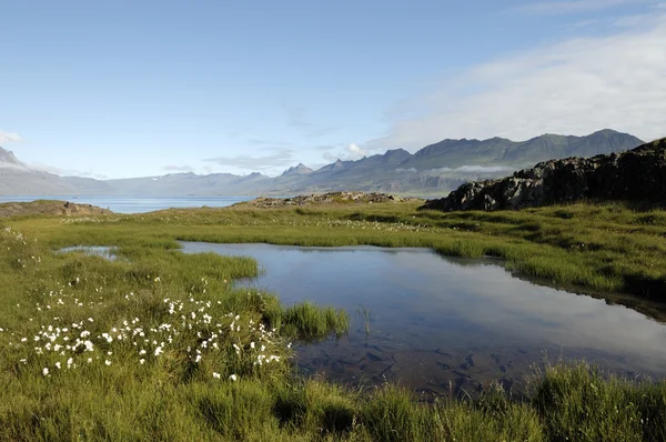 Sommar landskap i Island. — Stockfoto