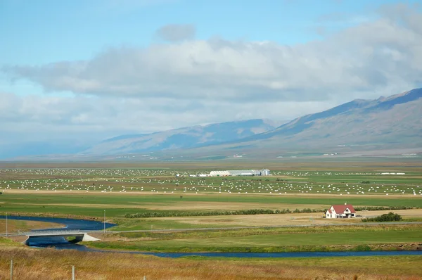 IJslandse landschap. — Stockfoto