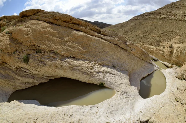 Tavaszi Negev-sivatag. — Stock Fotó