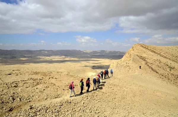 Hikers in Negev desert. - Stok İmaj