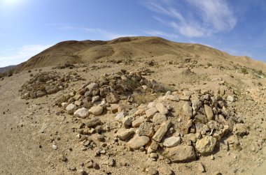 Necef mezarlıkta Bedevi.