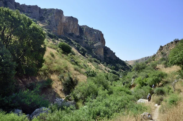 Wadi amud w Galilei, Izrael — Zdjęcie stockowe