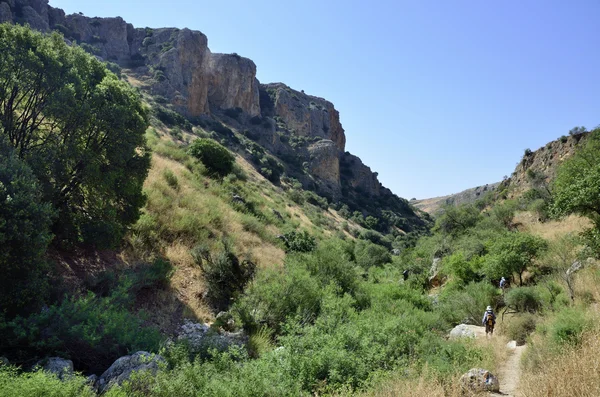 Wadi amud in Galilea, Israël Stockfoto