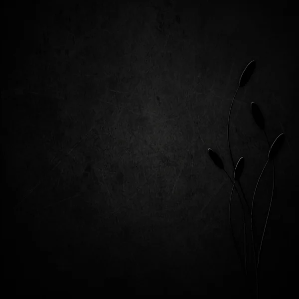 Zwarte rug met bloem — Stockfoto