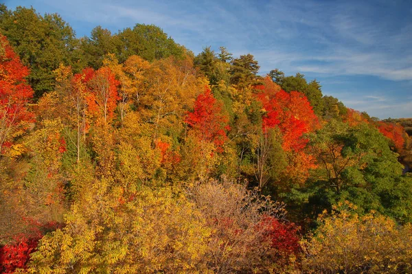 オンタリオ州ジョージタウンの秋の風景 — ストック写真