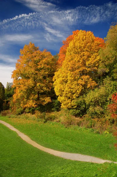 晴れた日にはカラフルな秋の木 カナダのオンタリオ州ハミルトン — ストック写真