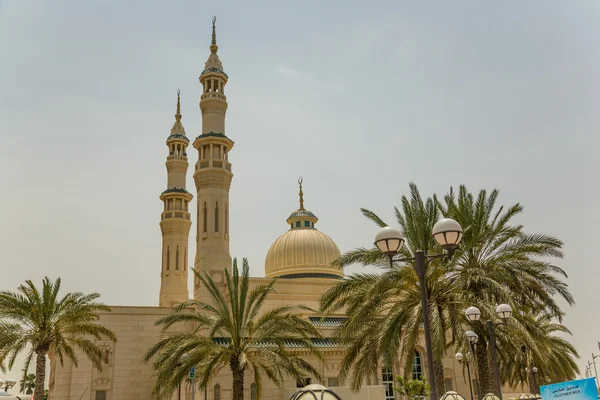 Moschea con palme — Foto Stock
