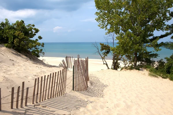 Dunes de sable de l'Indiana — Photo