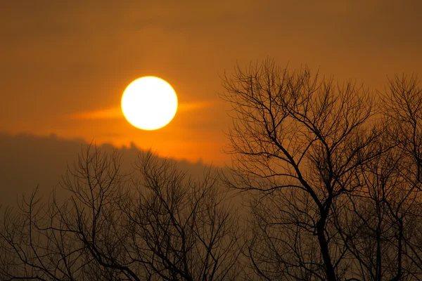 Neblina puesta de sol —  Fotos de Stock