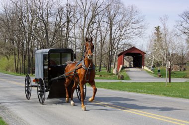 Amish ve atımı