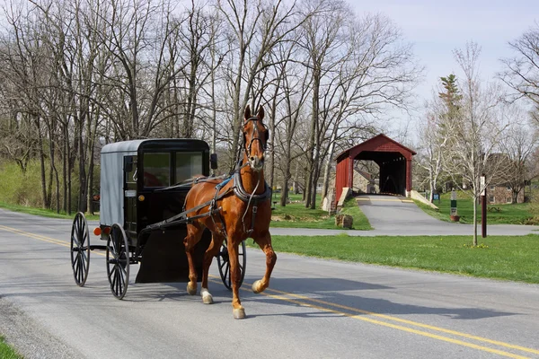 Caballo amish y transporte Fotos De Stock Sin Royalties Gratis