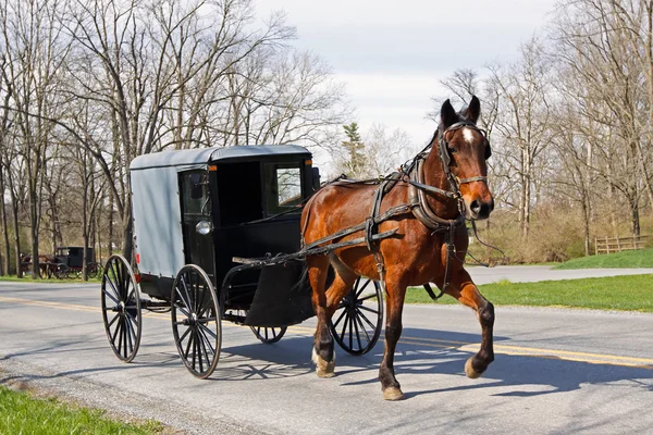 Amish ve atımı - Stok İmaj
