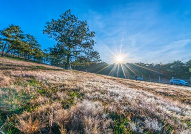 Da Lat, Vietnam - 11 Aralık 2021: Vietnam 'ın başkenti Da Lat' ta turist ziyareti başladı, bahar sabahı çim tepelerinde fotoğraf çekildi.