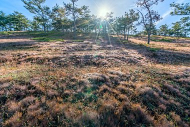 Sabahları çimenlerin üzerinde güneş ışıldarken çimenler ışıl ışıl parlar. Yeni güne hoş geldin demek için buradaki manzarayı görmek harika.