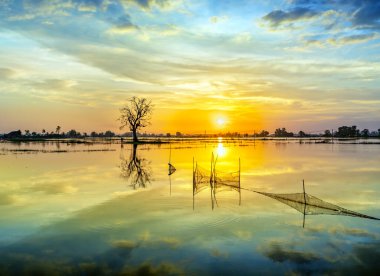 The sunset landscape in the vast floodplain wetlands, they bring alluvium for the upcoming rice crops to be green. Peaceful landscape Vietnam my hometown